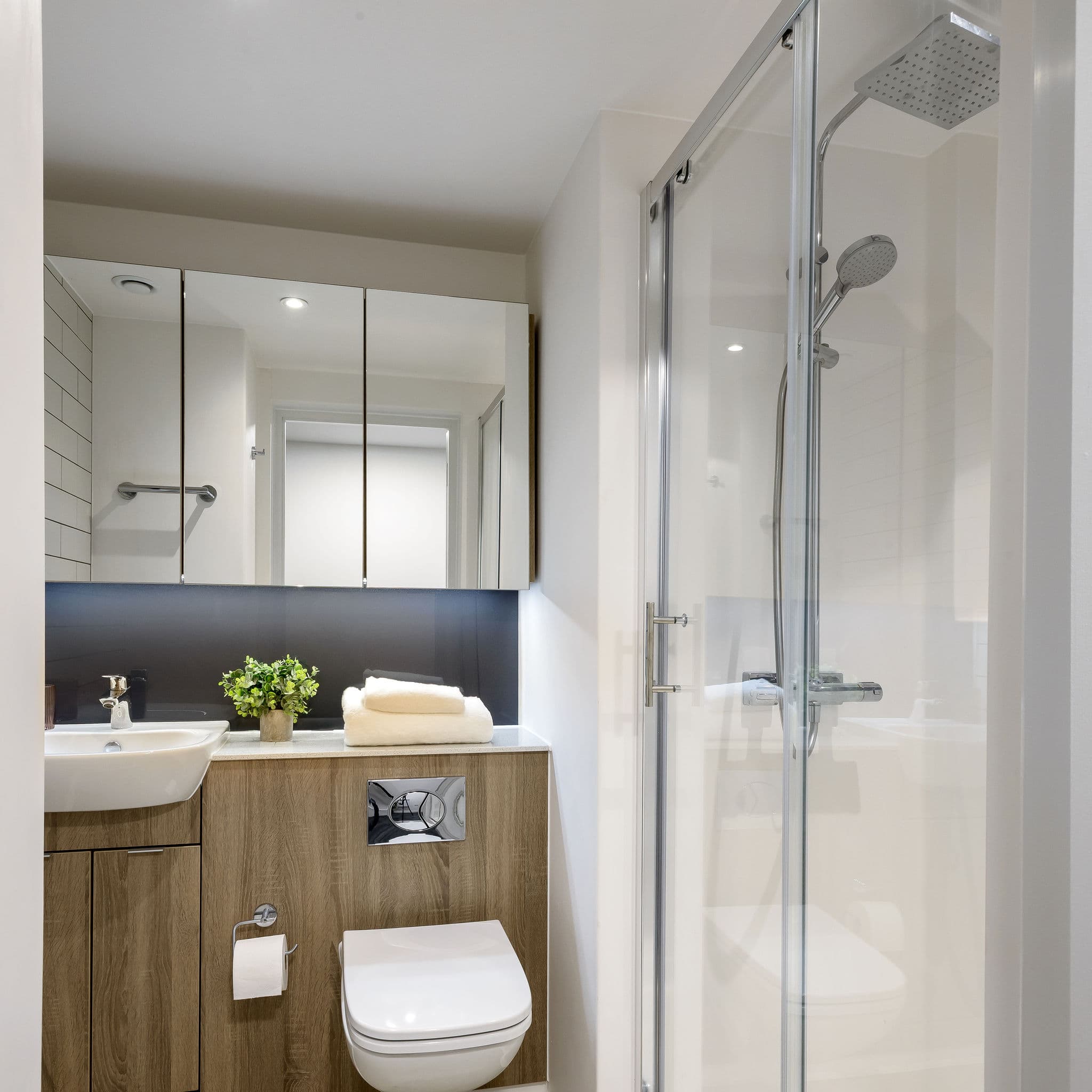 True Ensuite/Apartment, Nottingham - view 4
